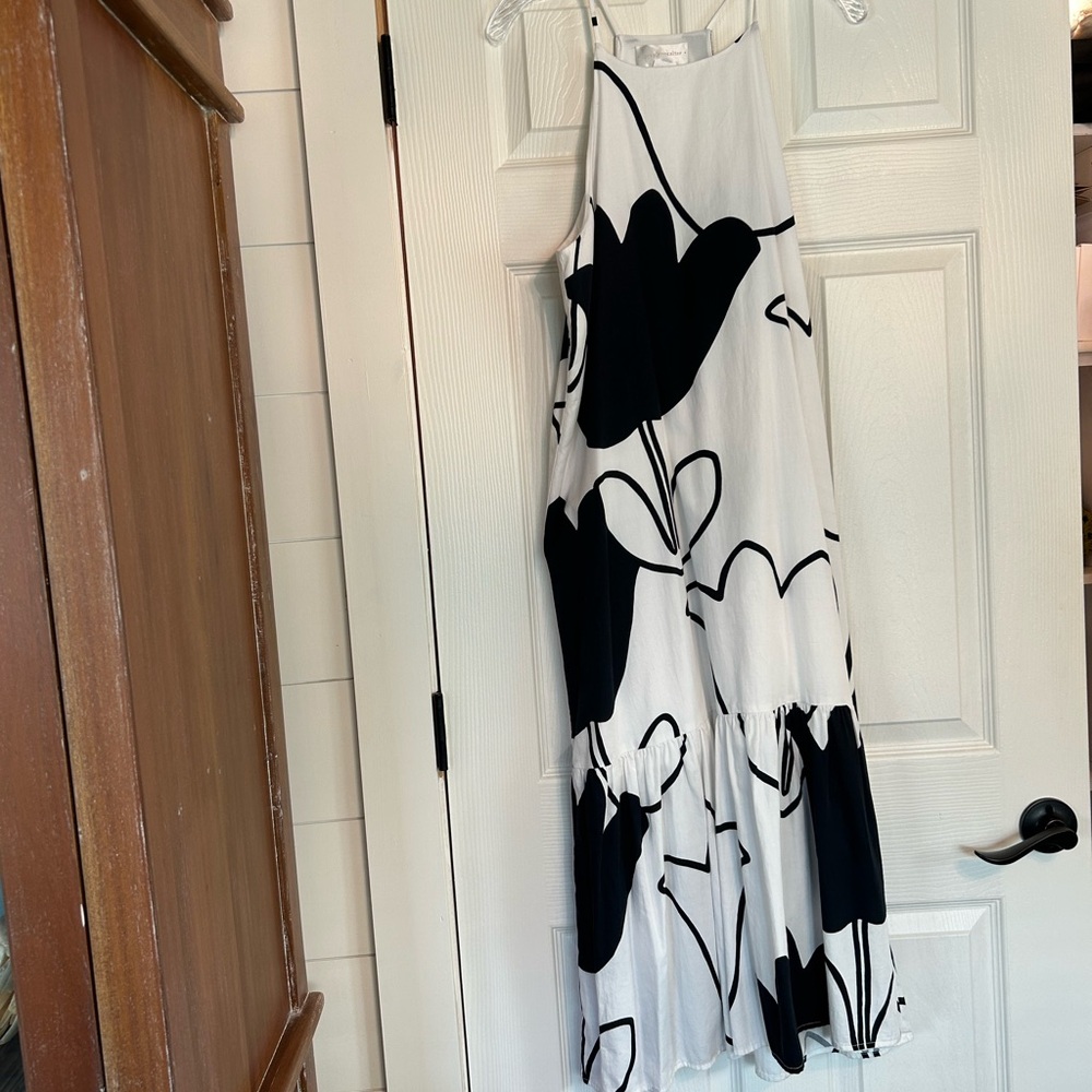 Anthropologie Chic Black and White Maxi Dress